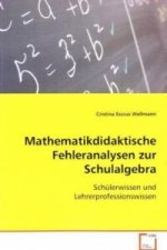 Mathematikdidaktische Fehleranalysen zur Schulalgebra