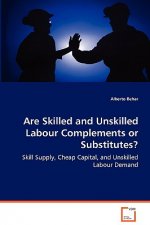 Are Skilled and Unskilled Labour Complements or Substitutes?