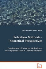 Solvation Methods - Theoretical Perspectives