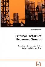 External Factors of Economic Growth