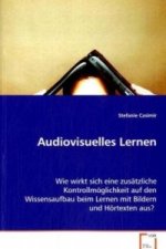 Audiovisuelles Lernen