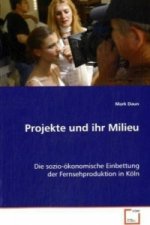 Projekte und ihr Milieu