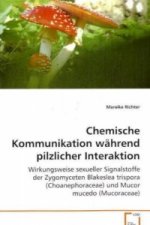Chemische Kommunikation während pilzlicher Interaktion