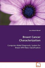 Breast Cancer Characterization Computer-Aided Diagnostic System for Breast MRI Mass Classification