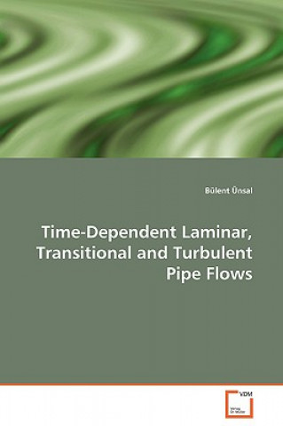 Time-Dependent Laminar, Transitional and Turbulent Pipe Flows