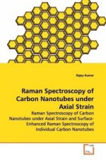 Raman Spectroscopy of Carbon Nanotubes under Axial Strain