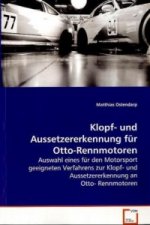 Klopf- und Aussetzererkennung für Otto-Rennmotoren