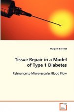 Tissue Repair in a Model of Type 1 Diabetes