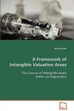 Framework of Intangible Valuation Areas