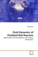 Fluid Dynamics of Fluidized Bed Reactors