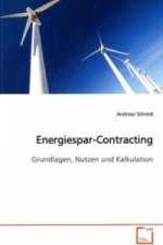 Energiespar-Contracting