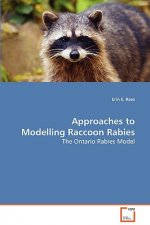 Approaches to Modelling Raccoon Rabies