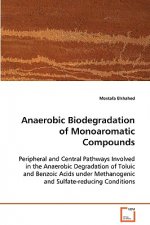 Anaerobic Biodegradation of Monoaromatic Compounds