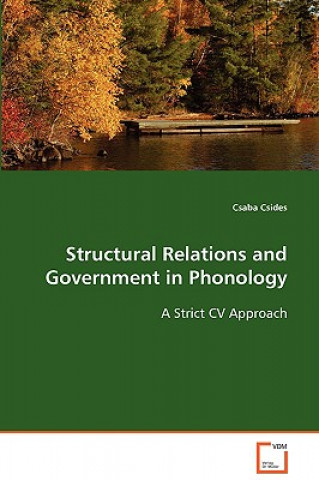 Structural Relations and Government in Phonology