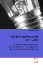 Die Energiewirtschaft der Türkei