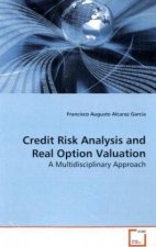 Credit Risk Analysis and Real Option Valuation