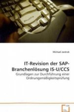 IT-Revision der SAP-Branchenlösung IS-U/CCS