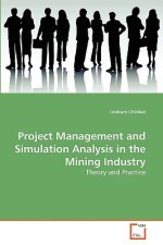Project Management and Simulation Analysis in the Mining Industry