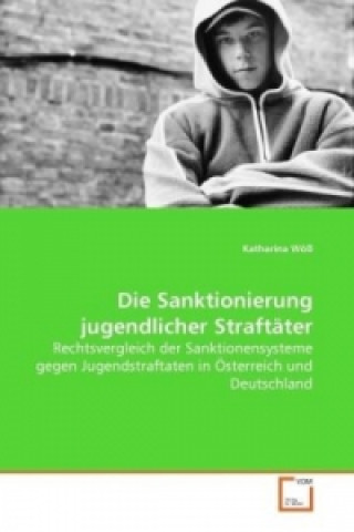 Die Sanktionierung jugendlicher Straftäter