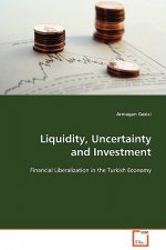Liquidity, Uncertainty and Investment