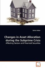 Changes in Asset Allocation during the Subprime Crisis