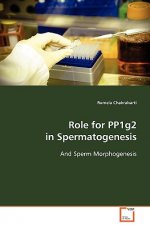 Role for PP1g2 in Spermatogenesis