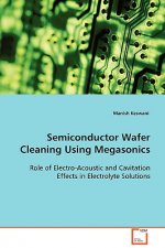 Semiconductor Wafer Cleaning Using Megasonics