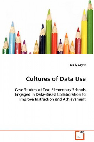 Cultures of Data Use