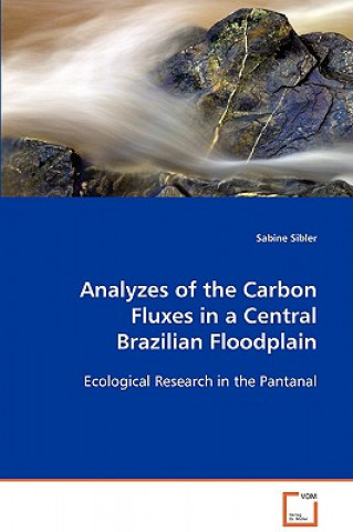 Analyzes of the Carbon Fluxes in a Central Brazilian Floodplain