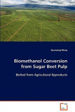 Biomethanol Conversion from Sugar Beet Pulp