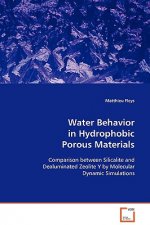 Water Behavior in Hydrophobic Porous Materials