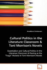 Cultural Politics in the Literature Classroom & Toni Morrison's Novels