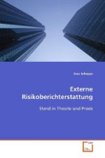 Externe Risikoberichterstattung