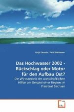 Das Hochwasser 2002, Rückschlag oder Motor für den Aufbau Ost?