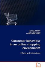 Consumer behaviour in an online shopping environment
