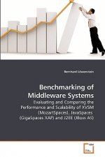 Benchmarking of Middleware Systems