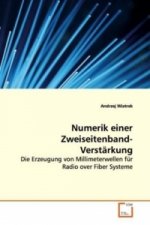 Numerik einer Zweiseitenband-Verstärkung