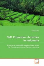 SME Promotion Activities in Indonesia