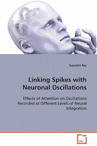 Linking Spikes with Neuronal Oscillations