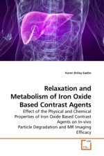 Relaxation and Metabolism of Iron Oxide Based Contrast Agents