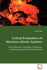 Critical Evaluation of Alumino-silicate Systems