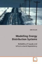 Modelling Energy Distribution Systems