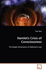 Hamlet's Crisis of Consciousness