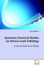 Quantum Chemical Studies on Atomic-scale Tribology