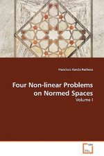 Four Non-linear Problems on Normed Spaces - Volume I