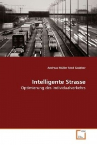 Intelligente Strasse