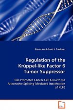 Regulation of the Kruppel-like Factor 6 Tumor Suppressor