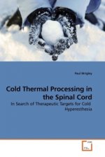 Cold Thermal Processing in the Spinal Cord
