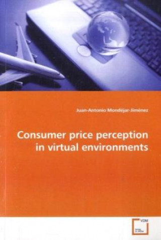 Consumer price perception in virtual environments