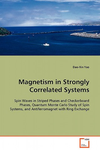 Magnetism in Strongly Correlated Systems